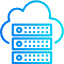 Shared Hosting Icon with Server and Network Symbols.